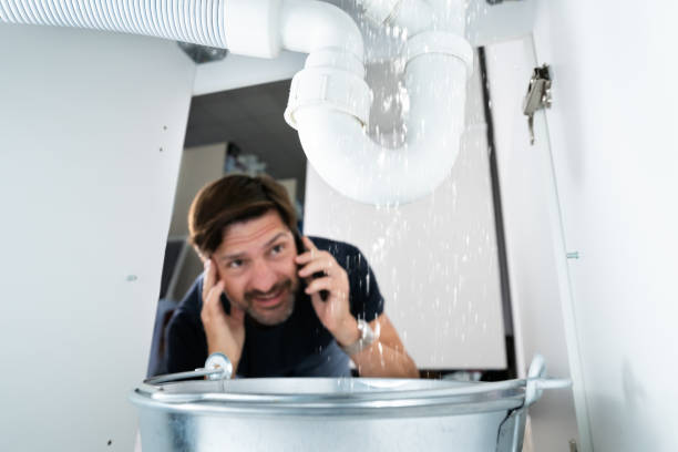 Best Plumbing Inspection Services  in Albany, LA